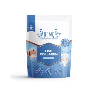 BEMO FISH COLLAGEN - KOLAGEN DLA PSA I KOTA