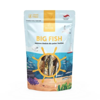 Pokusa BIG FISH suszone śledzie dla psów i kotów 60 g