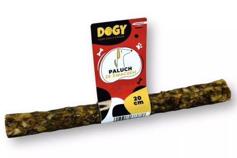 DOGY - Paluch ze żwaczem 10 cm - 60 cm