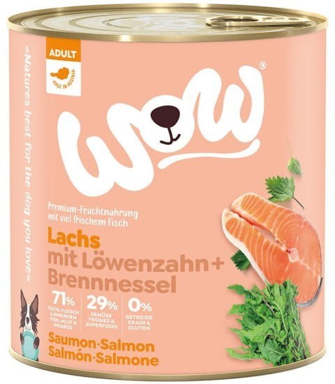 WOW Lachs - łosoś z mniszkiem lekarskim i pokrzywą