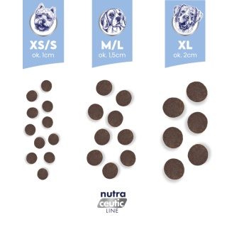 BALTICA NUTRACEUTIC Hypoallergenic Fish & Rice Light L/XL 12 kg – Lekka hipoalergiczna karma z ryb i ryżu dla psów dużych ras