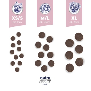 BALTICA NUTRACEUTIC Hypoallergenic Lamb & Rice L/XL 12 kg – Hipoalergiczna karma z jagnięciną i ryżem dla psów dużych ras