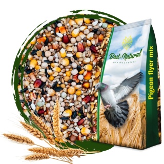 Best Natural Bez Pszenicy BP– 1kg – naturalna mieszanka dla gołębi przez cały rok