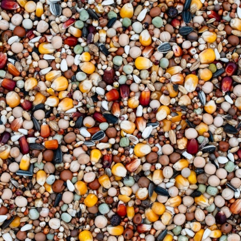 Best Natural Rozpłodowo Lotowa 20kg – naturalna mieszanka dla gołębi pocztowych
