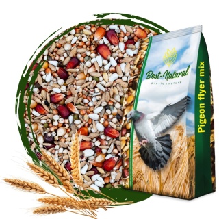 Best Natural Champion Extra CH 1kg – naturalna mieszanka dla gołębi pocztowych