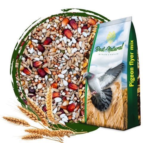 Best Natural Champion Extra CH 1kg – naturalna mieszanka dla gołębi pocztowych