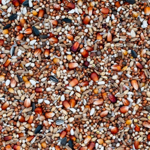 Best Natural Lotowa Wdowiec Mistrz LW 20kg – naturalna mieszanka dla gołębi pocztowych