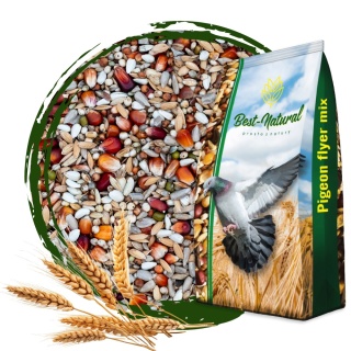 Best Natural Energetyczna E 1kg – naturalna mieszanka dla gołębi pocztowych