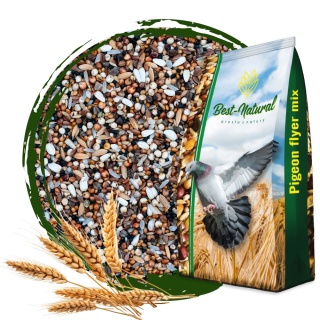 Best Natural Drobne Nasionka Oleiste DN 20kg – naturalna mieszanka dla gołębi pocztowych i dzikich ptaków