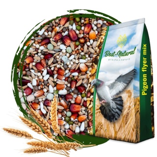 Best Natural Lotowa Sport Extra LSE 20kg – naturalna mieszanka dla gołębi pocztowych