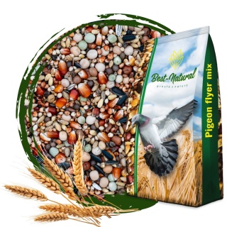 Best Natural Pierzeniowa Extra PX 1kg – naturalna mieszanka dla gołębi pocztowych