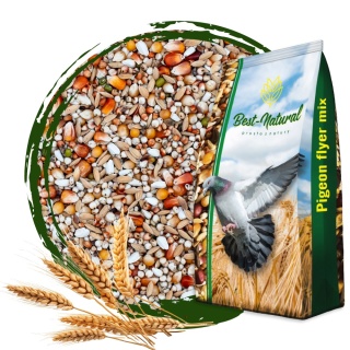Best Natural Lekkostrawna LS 20kg – naturalna mieszanka dla gołębi pocztowych