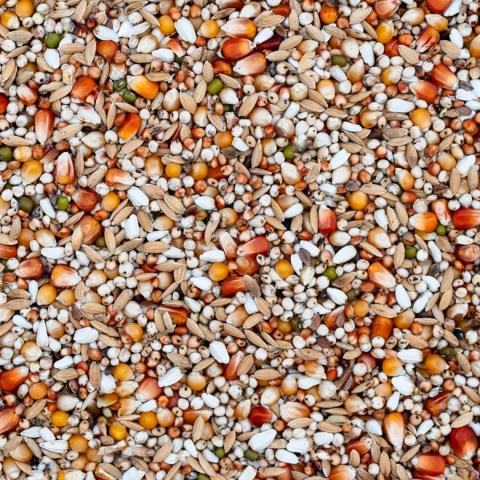 Best Natural Lekkostrawna LS 20kg – naturalna mieszanka dla gołębi pocztowych