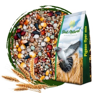 Best Natural Pierzeniowa P 20kg – naturalna mieszanka dla gołębi pocztowych
