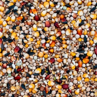 Best Natural Sezonowa S – 1kg – naturalna mieszanka dla gołębi przez cały rok