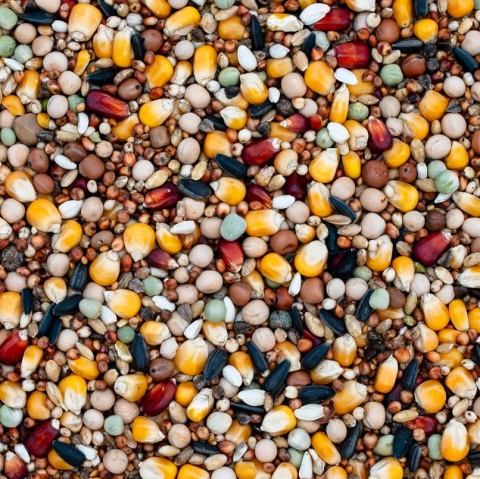 Best Natural Bez Pszenicy BP– 20kg – naturalna mieszanka dla gołębi przez cały rok