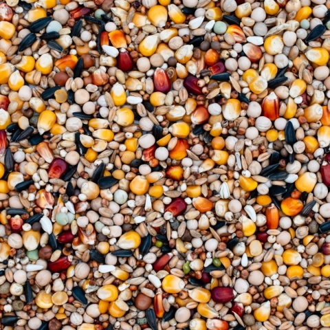 Best Natural Sezonowa S – 25kg – naturalna mieszanka dla gołębi przez cały rok