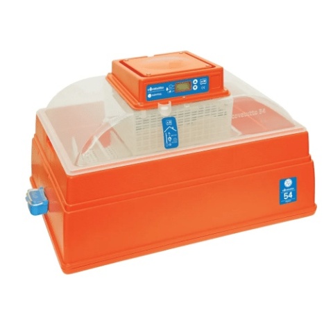 COVATUTTO 54 DIGITAL – Inkubator do jaj z wyświetlaczem cyfrowym, Novital