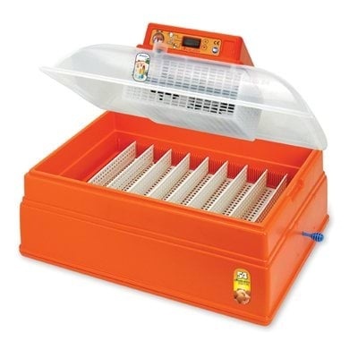 COVATUTTO 54 DIGITAL – Inkubator do jaj z wyświetlaczem cyfrowym, Novital