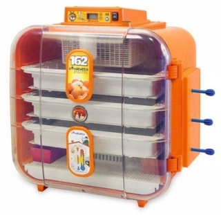 COVATUTTO 162 DIGITAL + IS – Cyfrowy inkubator jaj 230 V, 3-poziomowy, Novital