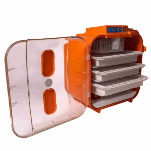 COVATUTTO 162 DIGITAL + IS – Cyfrowy inkubator jaj 230 V, 3-poziomowy, Novital
