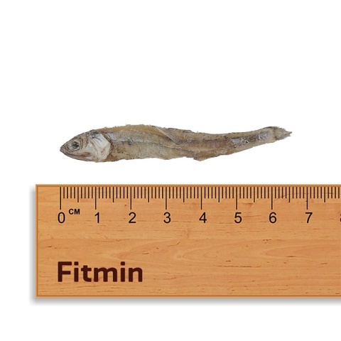 Fitmin Dog & Cat Suszona Rybka Anchois 50 g – Naturalny przysmak dla psów i kotów