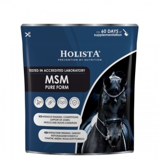 Holista Equine MSM Pure Form 450 g – Naturalne wsparcie dla stawów i kopyt koni