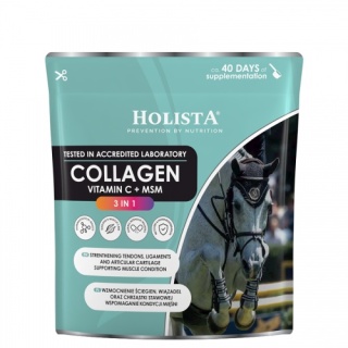 HolistaEquine Collagen 3 in 1 600 g – Wsparcie stawów, ścięgien i mięśni koni sportowych
