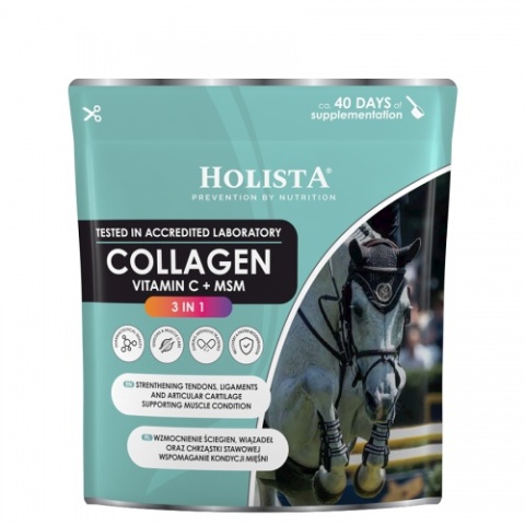 HolistaEquine Collagen 3 in 1 600 g – Wsparcie stawów, ścięgien i mięśni koni sportowych