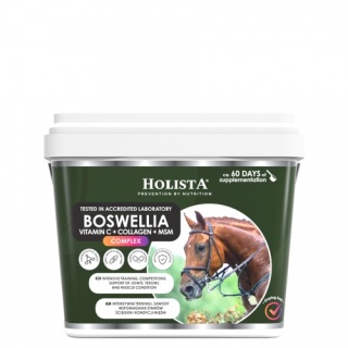 HolistaEquine Boswellia Serrata Complex 1000 g – regeneracja, mobilność i wsparcie stawów koni sportowych