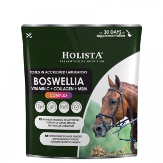 HolistaEquine Boswellia Serrata Complex 500 g – regeneracja, mobilność i wsparcie stawów koni sportowych