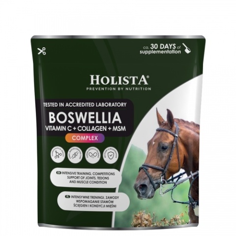 HolistaEquine Boswellia Serrata Complex 500 g – regeneracja, mobilność i wsparcie stawów koni sportowych