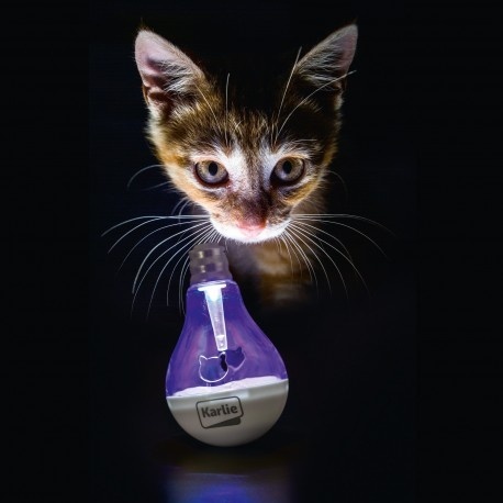 Karlie LED Light Bulb – świecąca zabawka dla kota na przysmaki z wbudowana baterią , 7x7cm!