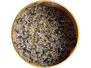 Mix Naturalnych Ziaren dla Drobiu KURA MROWCA – 25kg – naturalna energia i smak, który kury uwielbiają!