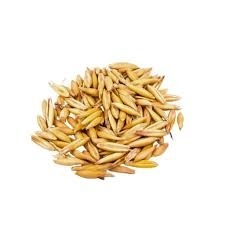 Owies paszowy – 1kg – naturalne źródło energii i zdrowia dla Twoich zwierząt