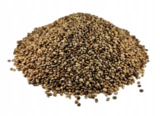 Ziarna konopi –10 kg– naturalna moc natury dla Twoich zwierząt ,źródło kwasów tłuszczowych omega3 i 6 – odporność zdrowa sierść