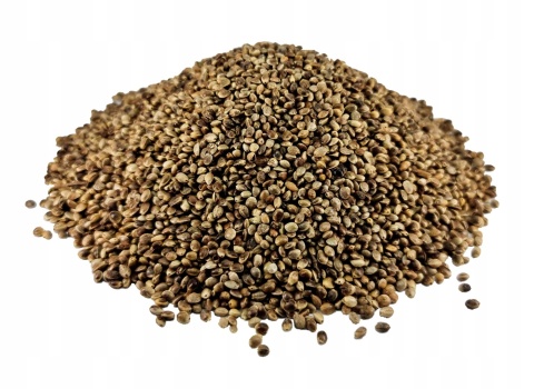 Ziarna konopi –10 kg– naturalna moc natury dla Twoich zwierząt ,źródło kwasów tłuszczowych omega3 i 6 – odporność zdrowa sierść