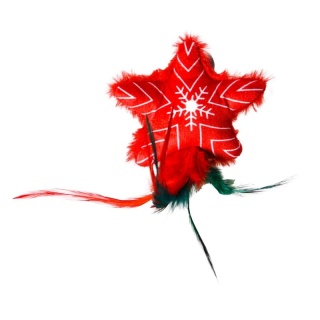 BUBA Święta ! – Gwiazdka z piórkami dla kota