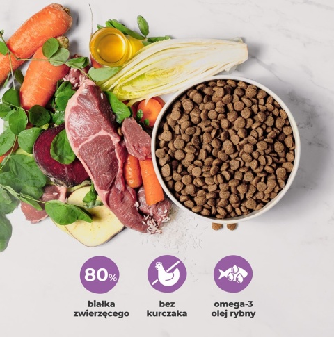 COMFY APPETIT VITA SUPERFOOD – Puppy All Breeds Lamb karma sucha dla szczeniąt z jagnięciną