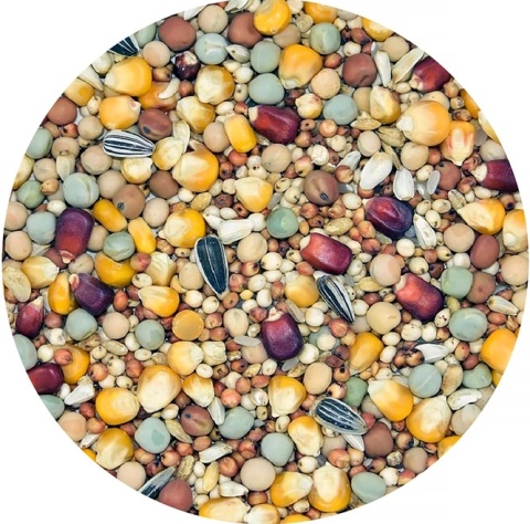 MDM Karma dla gołębi rozpłodowo-lotowa 25 kg – siła, energia i płodność w jednym worku