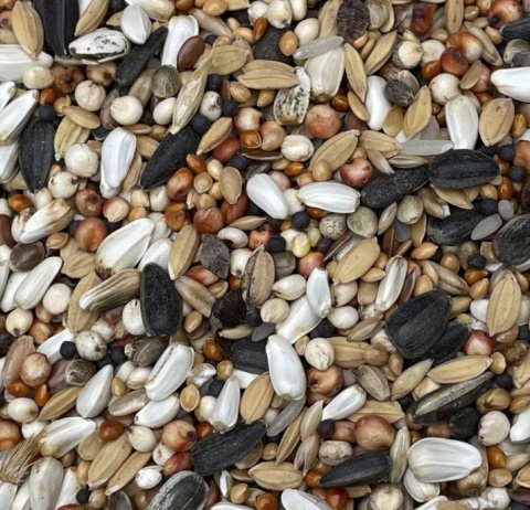 Podyma Drobne Nasiona –1kg– Mieszanka dla gołębi pocztowych –naturalna różnorodność dla zdrowych i silnych gołębi