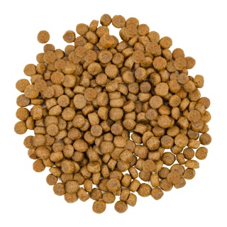 SAVORY ADULT CAT – FRESH SALMON & WHITE FISH sucha karma dla kota łosoś i białoryby 400 g