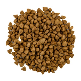 SAVORY ADULT CAT STERIL FRESH LAMB & CHICK sucha karma dla kota jagnięcina kurczak 0,4 KG