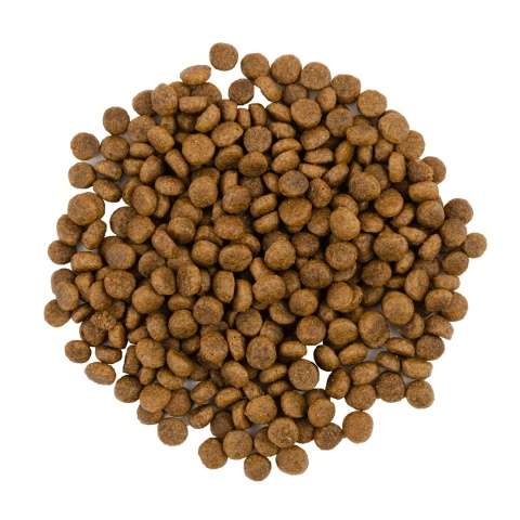 SV ADULT CAT FRESH TURKEY & DUCK 2kg – Sucha karma holistyczna z indykiem i kaczką dla kotów sterylizowanych