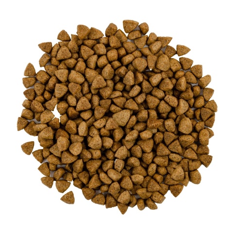 SAVORY ADULT CAT STERIL FRESH LAMB & CHICK sucha karma dla kota jagnięcina kurczak 2 KG