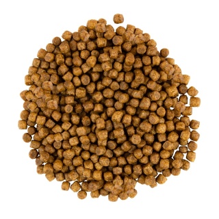 Savory – sucha karma dla kociąt z kurczakiem i indykiem | 400 g