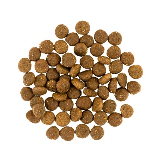 Savory – sucha karma z indykiem i kurczakiem dla szczeniąt | 1 kg