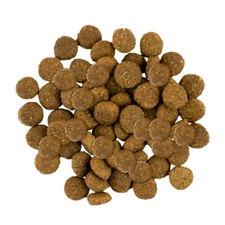 Savory – sucha karma z indykiem i kurczakiem dla juniorów dużych ras | 3 kg