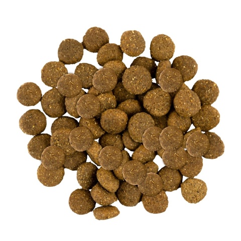 Savory – sucha karma z indykiem i kurczakiem dla juniorów dużych ras | 3 kg