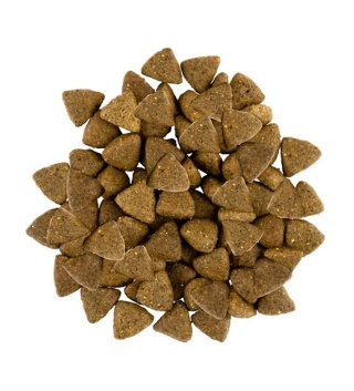 Savory – sucha karma z jagnięciną dla psów dorosłych małych ras | 3 kg